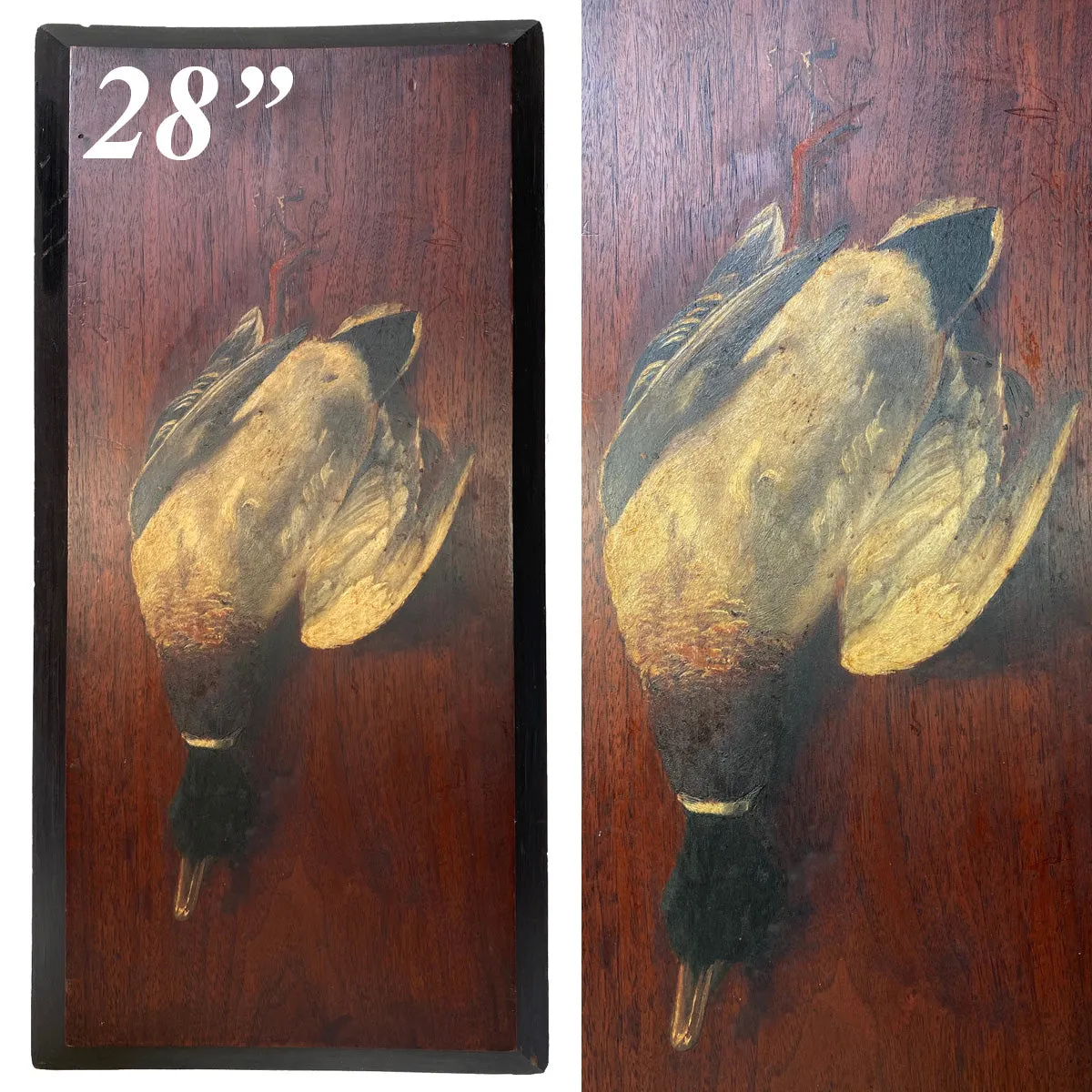 Antique French Oil Painting on 28" Board, "Nature Morte" or Nature Still Life w Mallard Duck