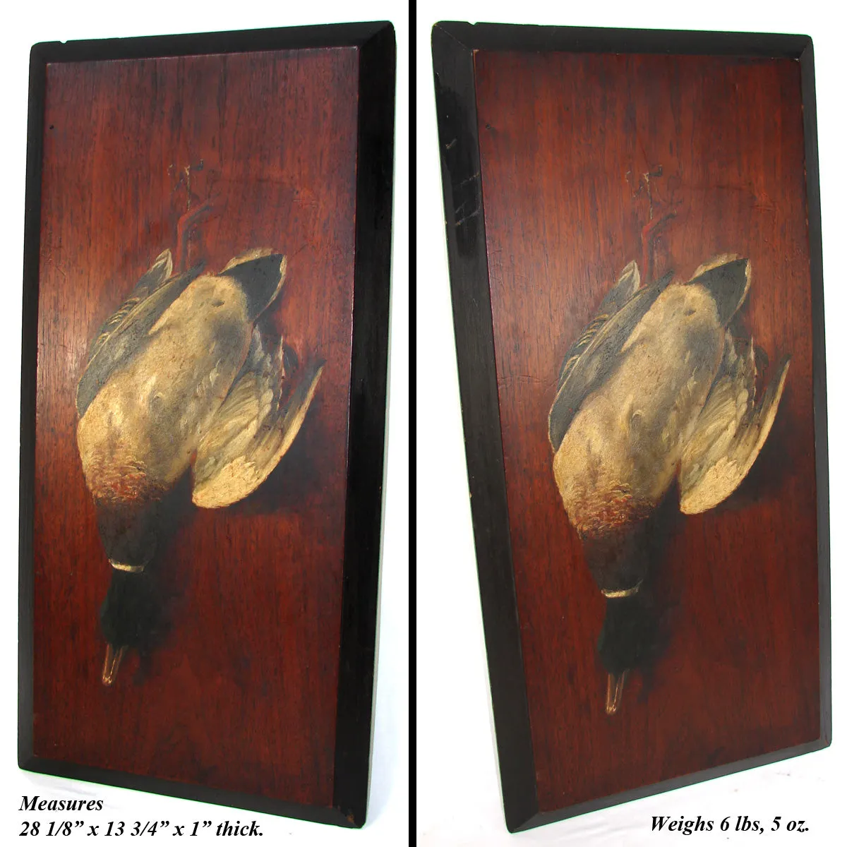 Antique French Oil Painting on 28" Board, "Nature Morte" or Nature Still Life w Mallard Duck