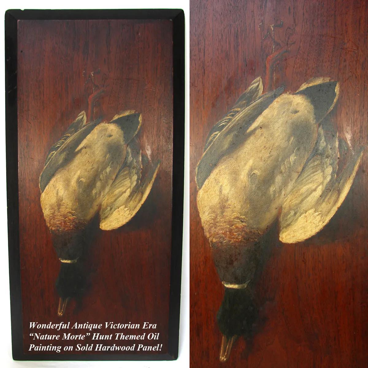 Antique French Oil Painting on 28" Board, "Nature Morte" or Nature Still Life w Mallard Duck