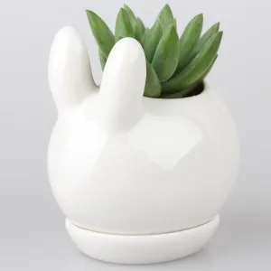 Gorgeous Bunny Planter