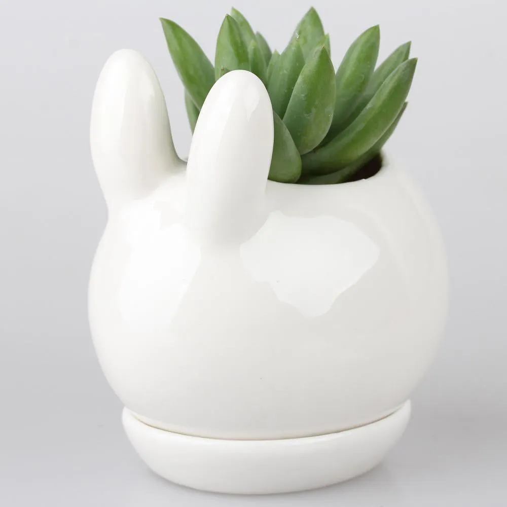 Gorgeous Bunny Planter