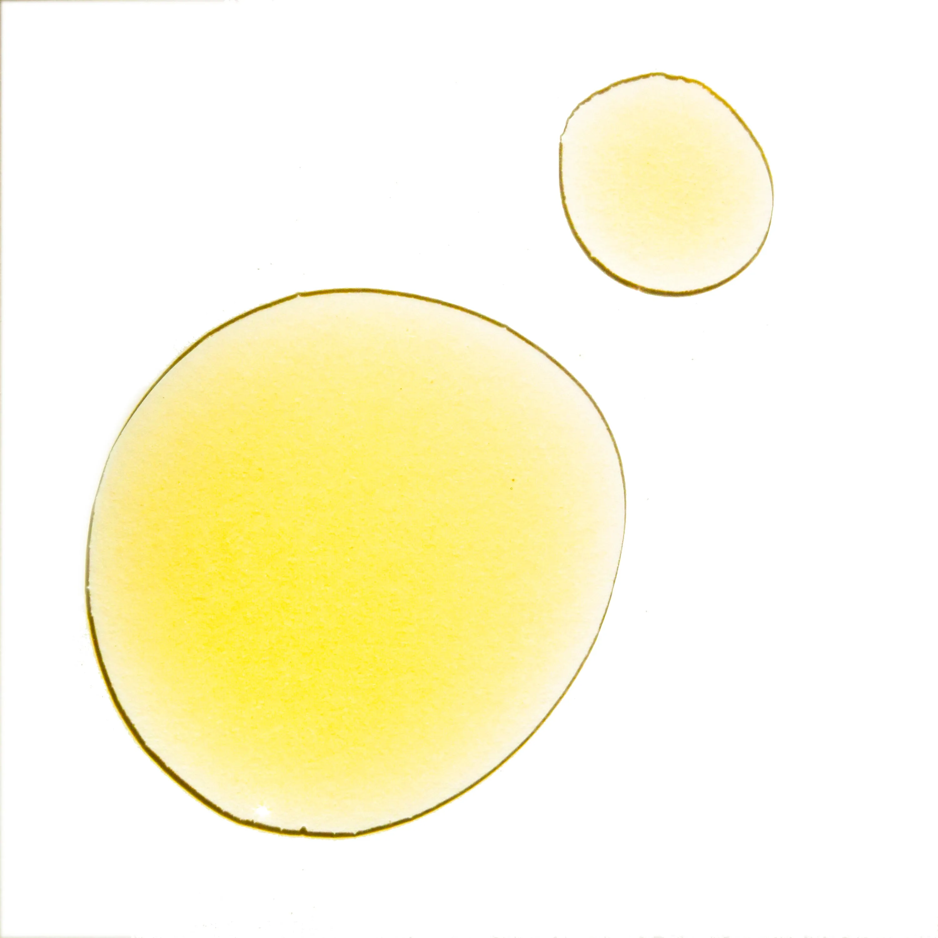 UMA Gorgeous for Good Wellness Oil